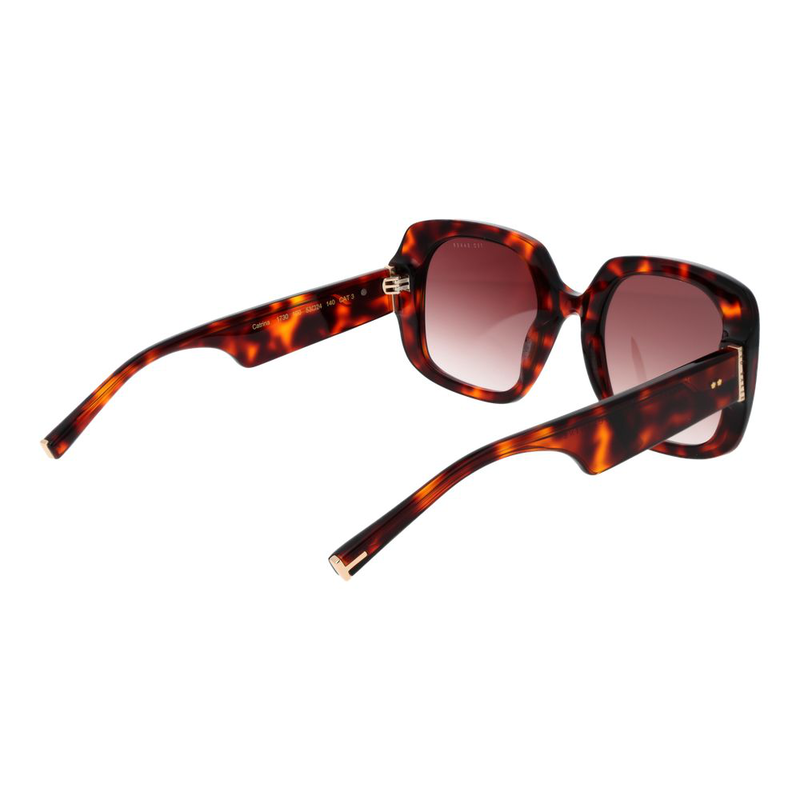 Brown acetate sunglasses-null