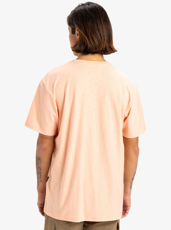 Quiksilver men's slub roundneck knit top-null