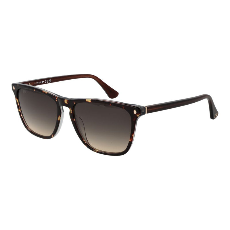 Brown acetate sunglasses-null