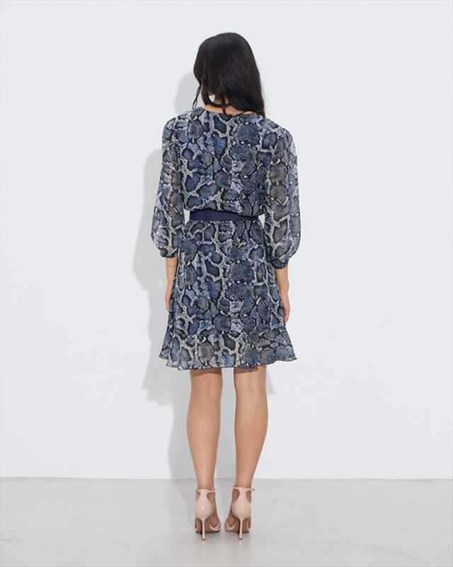 Product image: Short dress animal print-null