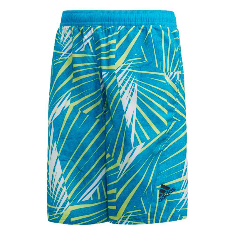 Boys board shorts-null