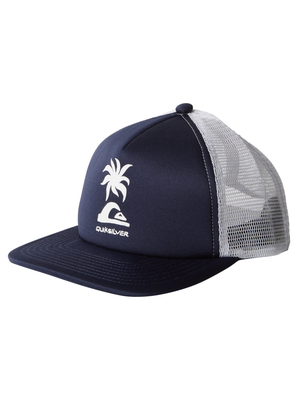 Quiksilver boys headwear slab scratch boy