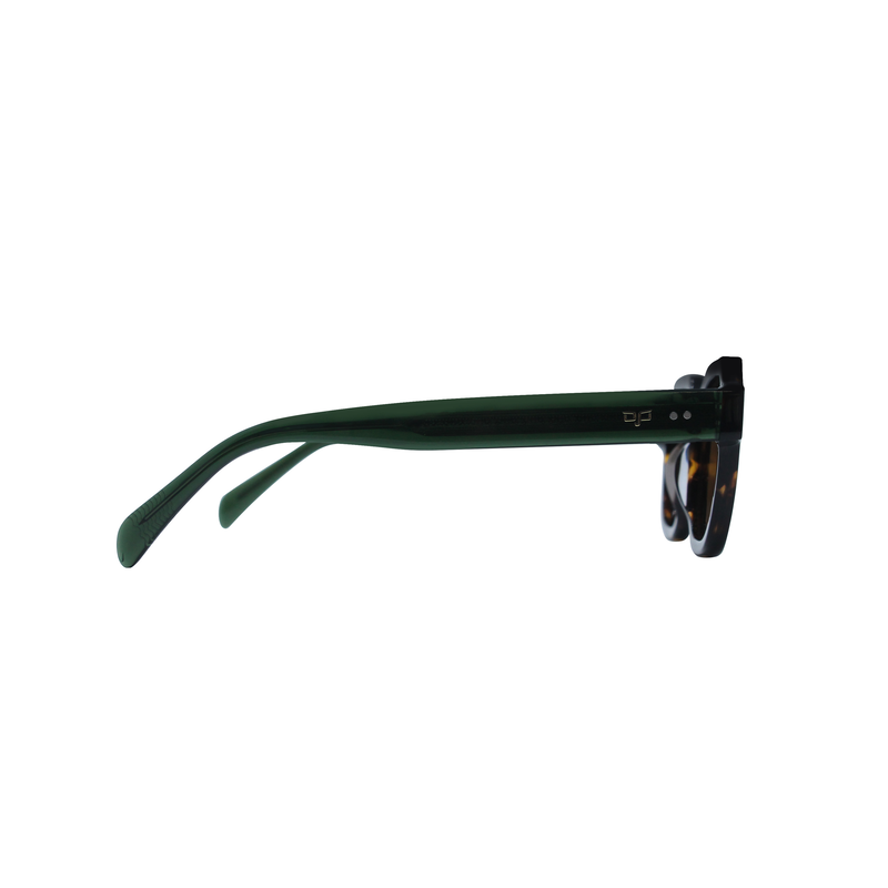 OJO sunglasses round handmade shell brown frame and clear green temples with brown polarised lenses image number null