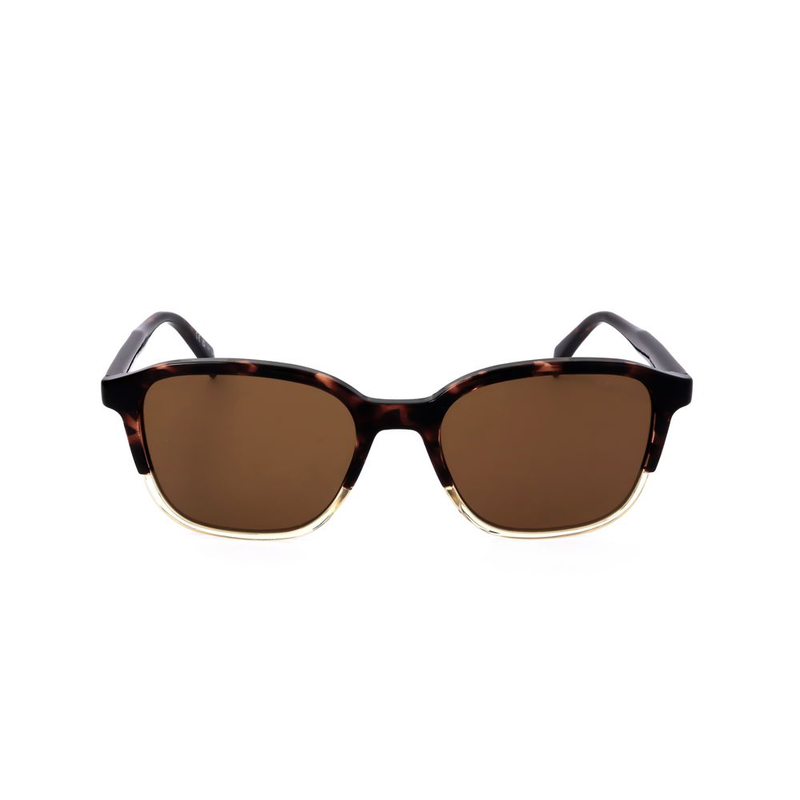Black resin sunglasses-null