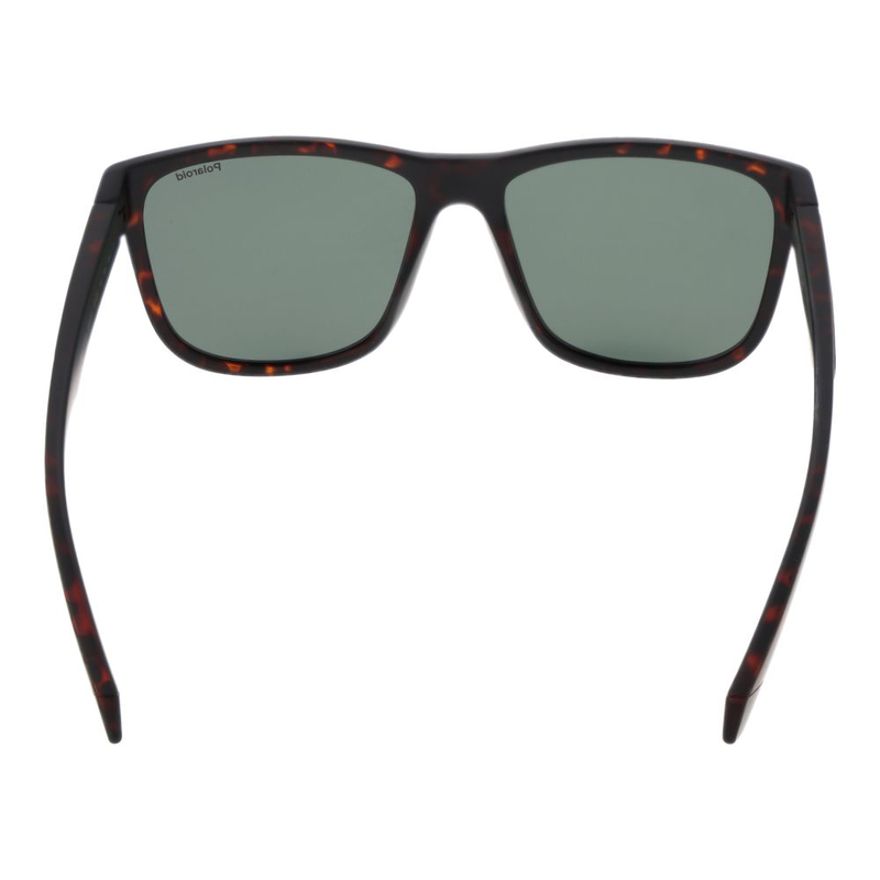 Brown plastic sunglasses-null