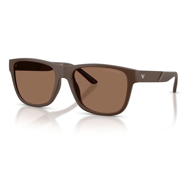 Brown acetate sunglasses-null