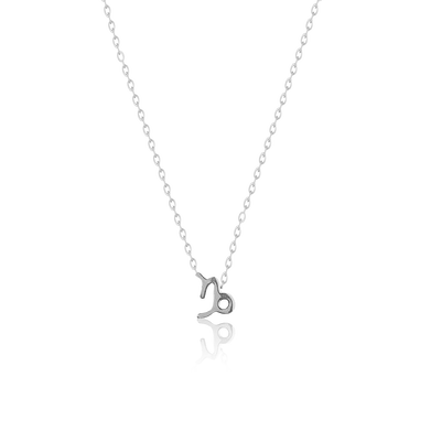 Capricorn - necklace
