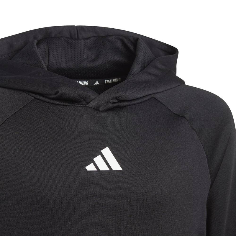 U ti hoodie-null
