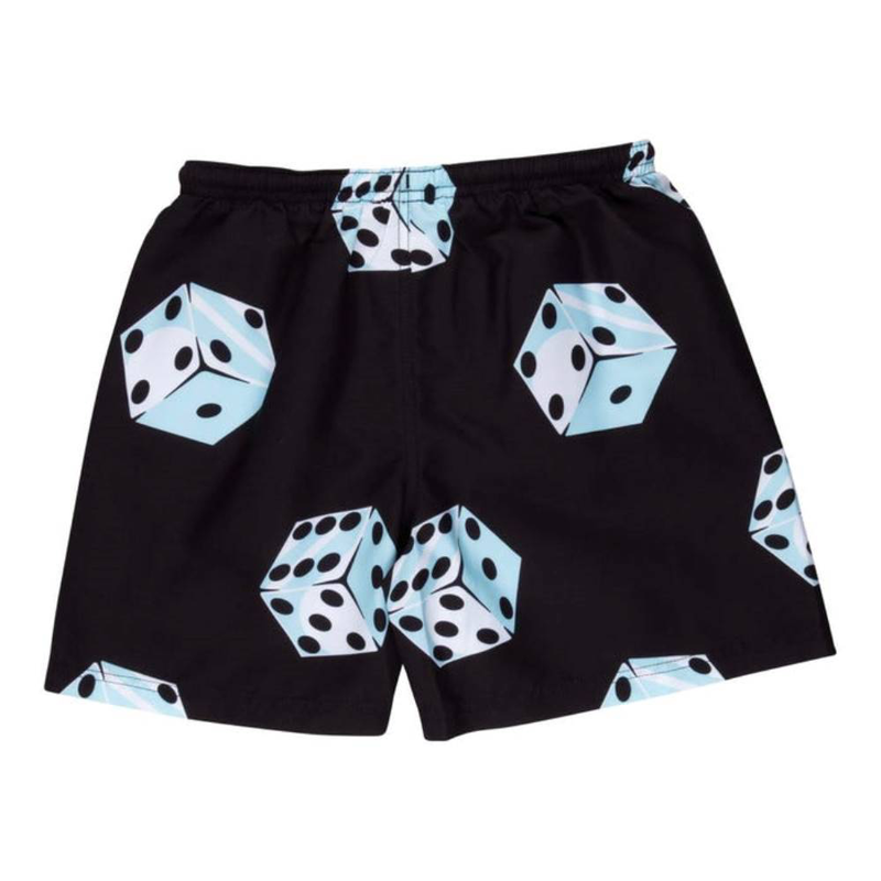 Santa cruz youth big dice swimshort image number null