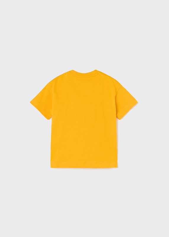 Basil t-shirt-null