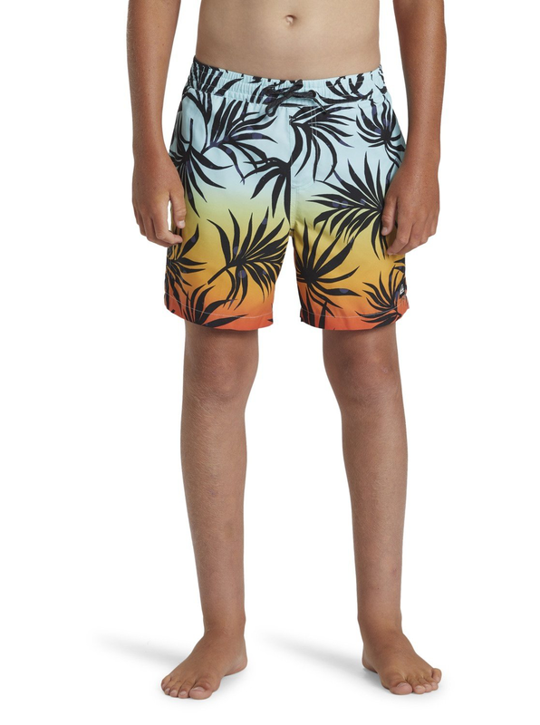 Quiksilver boys swimwear mix vly yth 14 jamv image number null