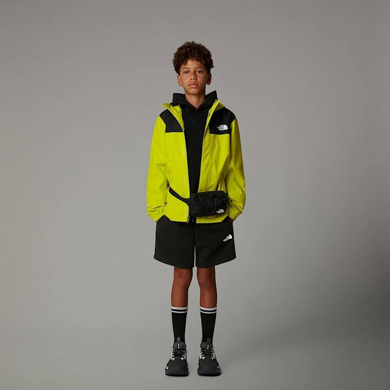 Product image: Boys regular cotton shorts-null