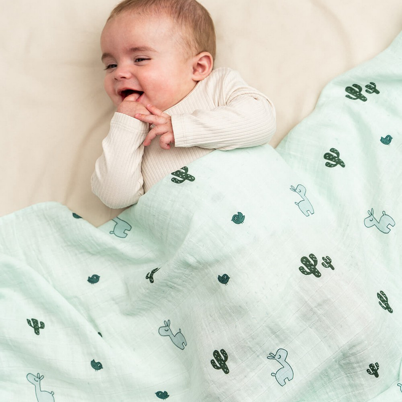 Done by deer swaddle lalee - blue-null