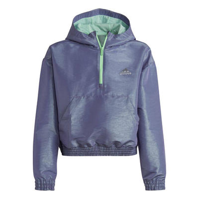 G d wv hoodie hlfzp