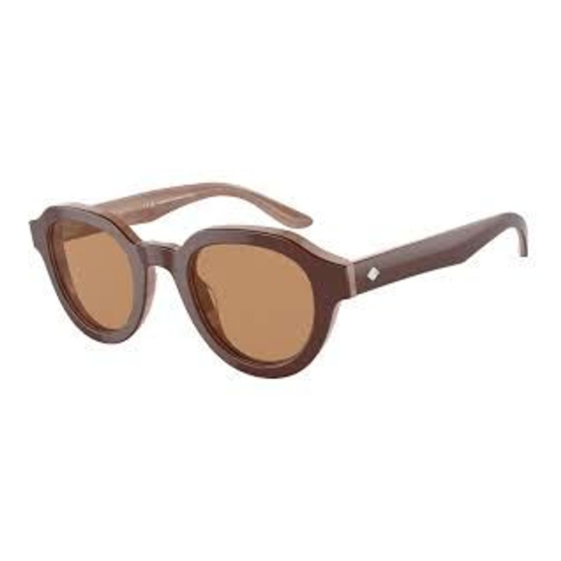 Brown acetate sunglasses-null