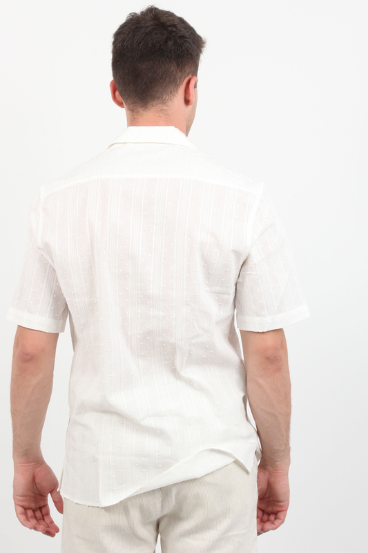 Shirt 100cot image number null