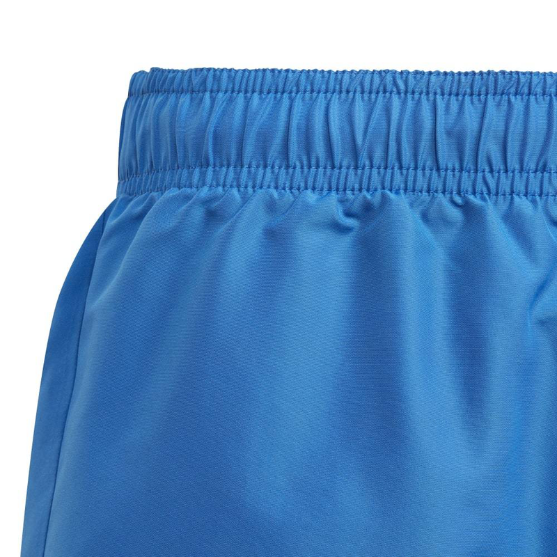 Young boys bos shorts-null