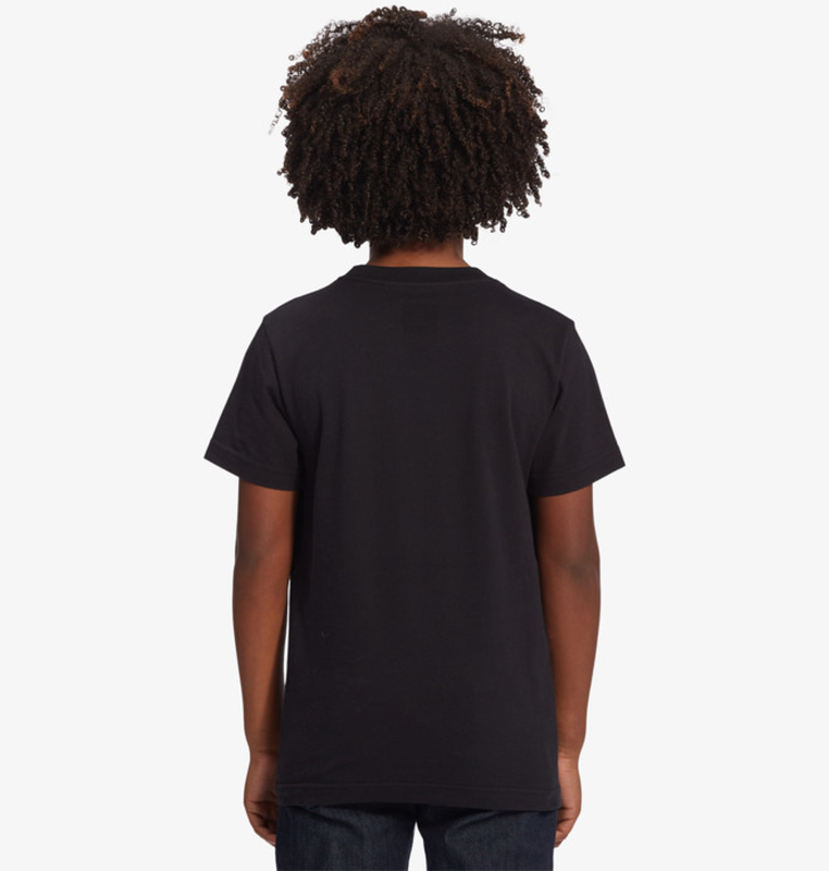 Dc youth boys dc project - short sleeve t-shirt (adbzt03187--null