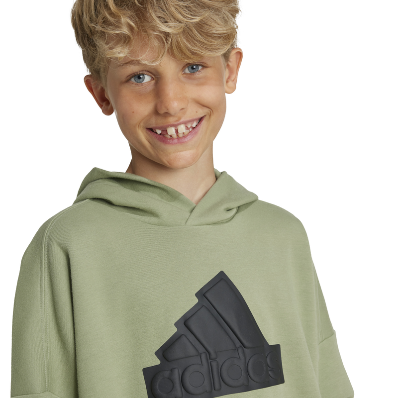Adidas boys future icons logo hooded sweatshirt-null