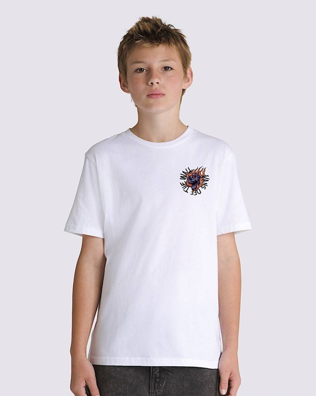 Vans boys vortex ss tee-null