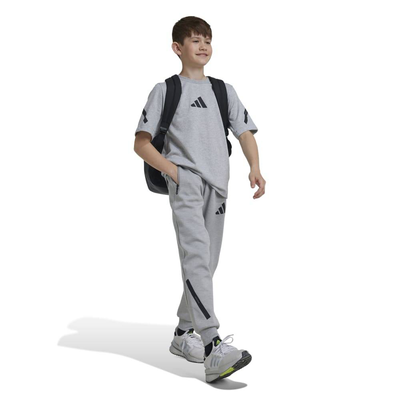 J z.n.e. Pants, Grey Heather, medium