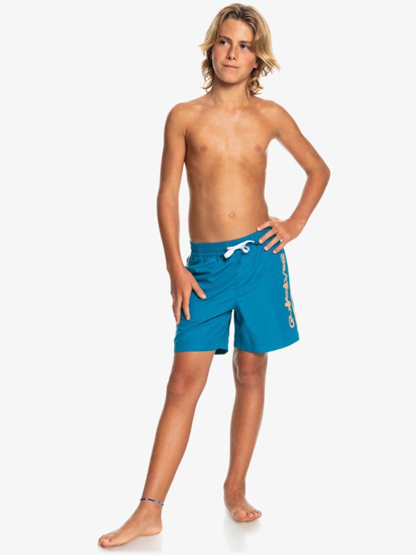 Quiksilver youth boys everyday vert 14" - swim shorts (eqbjv-null