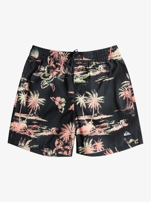 Quiksilver boy swimwear everyday mix volley youth 14 (eqbjv0, Black, medium