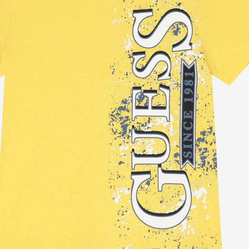 Boys t-shirt image number null