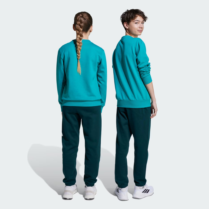 Adidas essentials joggers set jv9938-null