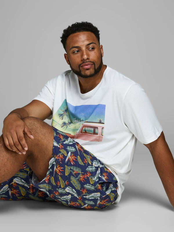 Product image: Jjicali swimshorts-null