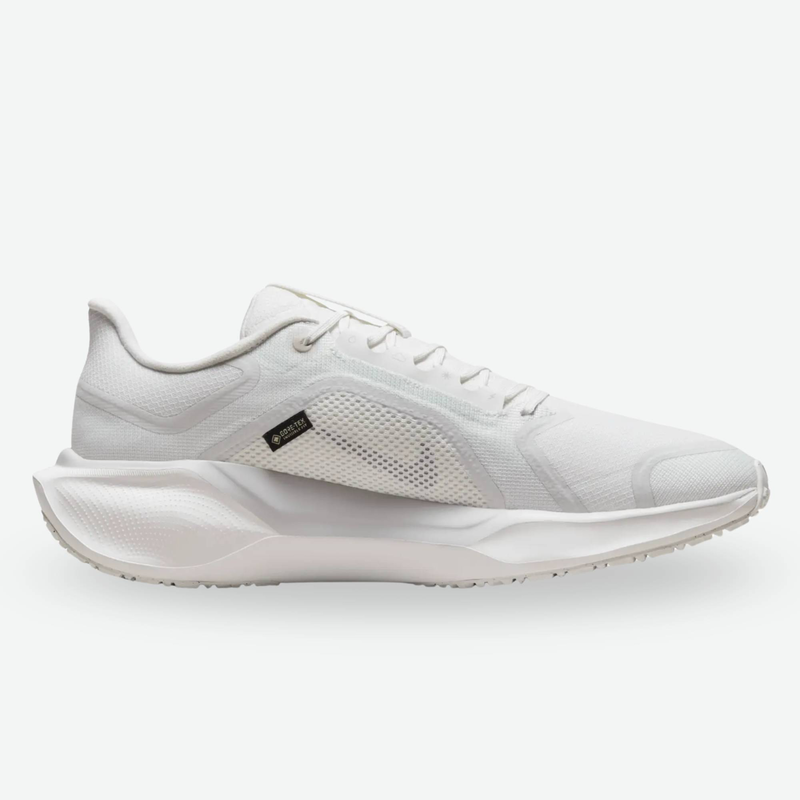 Air zoom pegasus 41 gtx-null