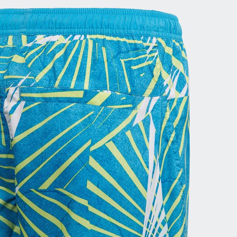 Boys board shorts-null