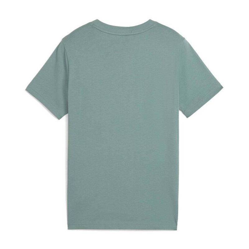Product image: Essentials logo lab hog t-shirt b-null