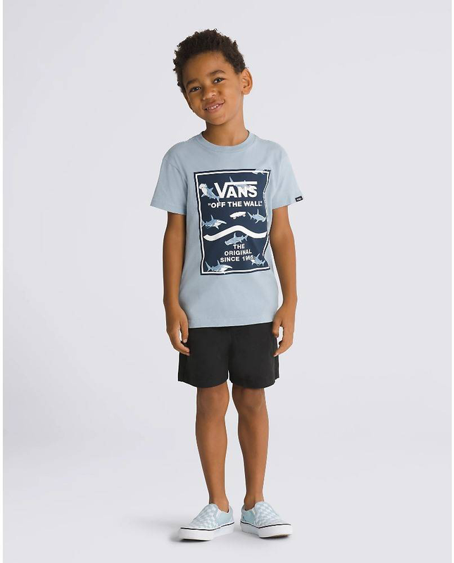 Product image: Vans little boys print box 2.0 ss t-shirt-null
