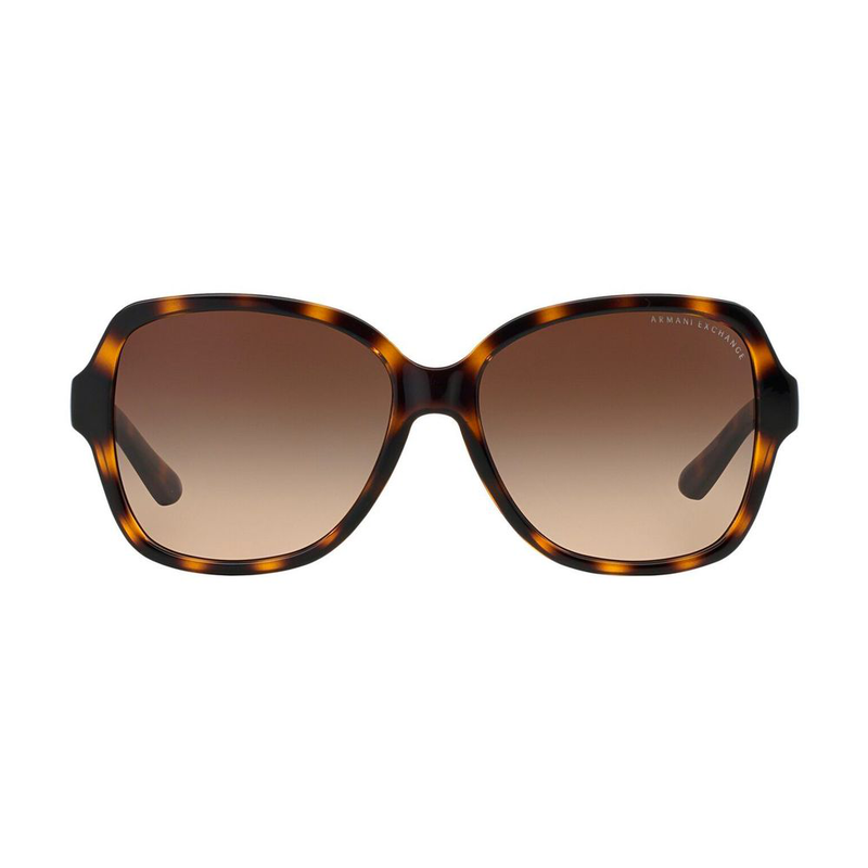 Brown acetate sunglasses-null
