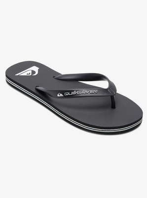 Quiksilver men slaps molokai core (aqyl101325-kvj1)