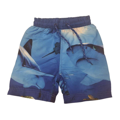 Little kids swimshort, Blue, medium