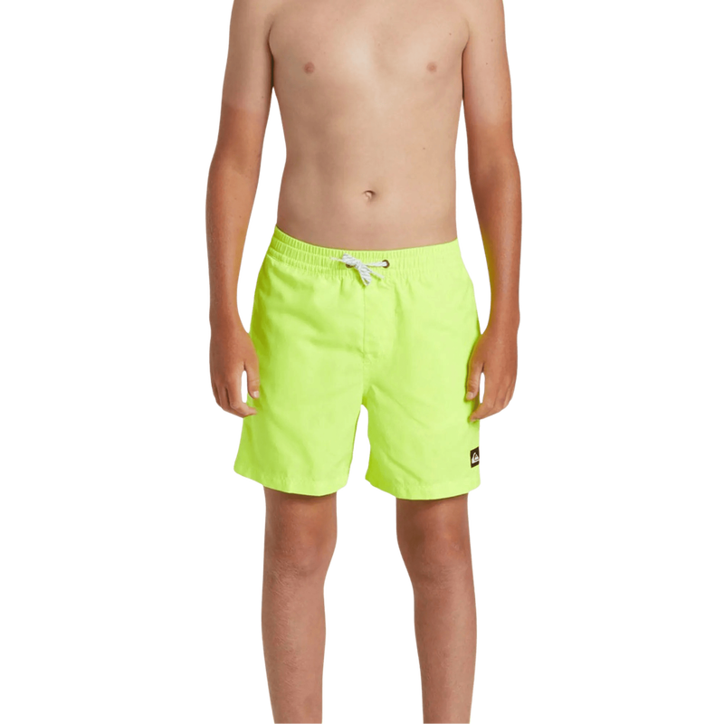 Quiksilver boys swimwear everyday solid volley yth 14 image number null