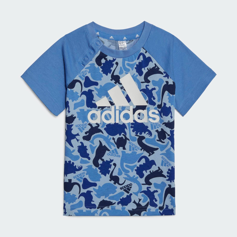I aop co t set-null