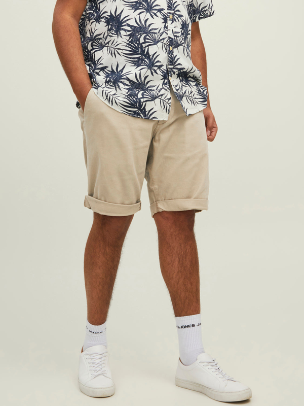 Plussize jjidave shorts - crockery-null