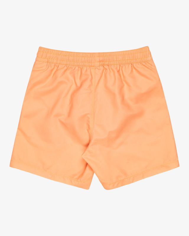 Billabong boy's swimwear all day lb swim short-null