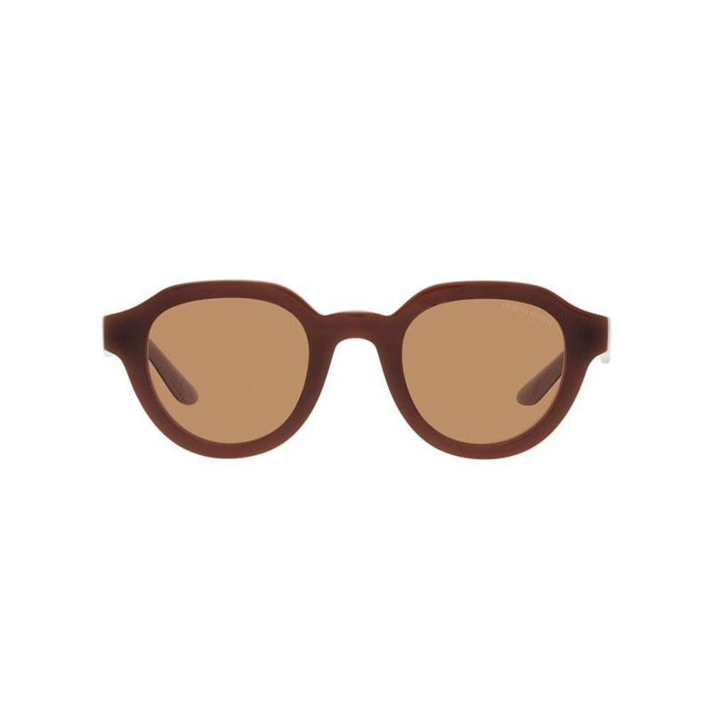 Brown acetate sunglasses-null