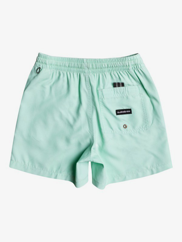 Quiksilver surfwash 13" - swim shorts for boys 8-16 (eqbjv03-null