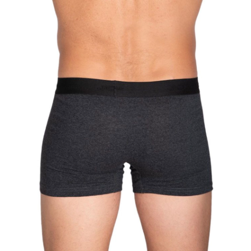 Mens boxer briefs with embossed letters #3101-null