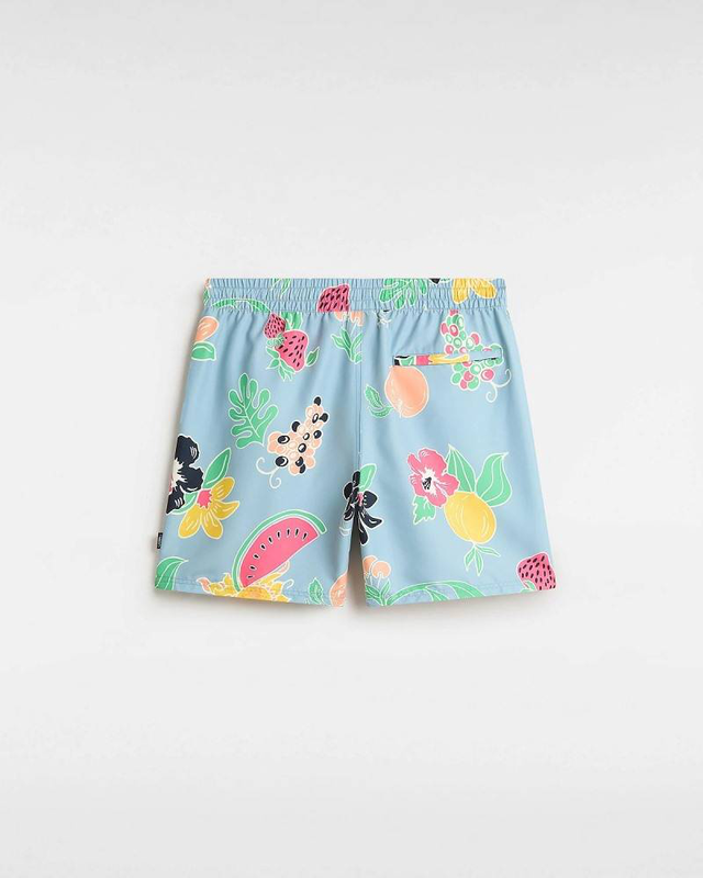 Vans primary print elastic boardshort-null