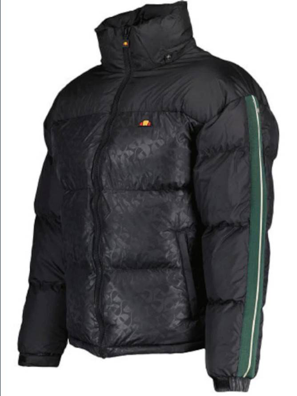 Appiani padded jacket-null
