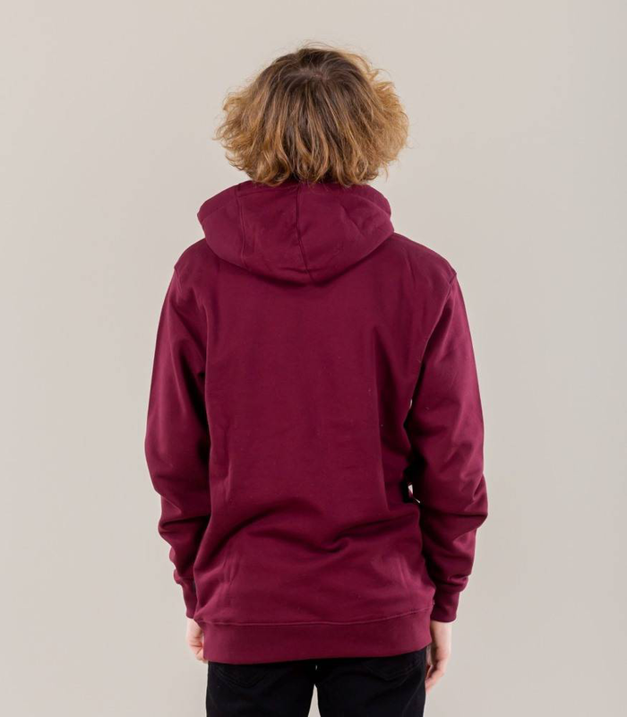 Vans classic pullover hoodie-null