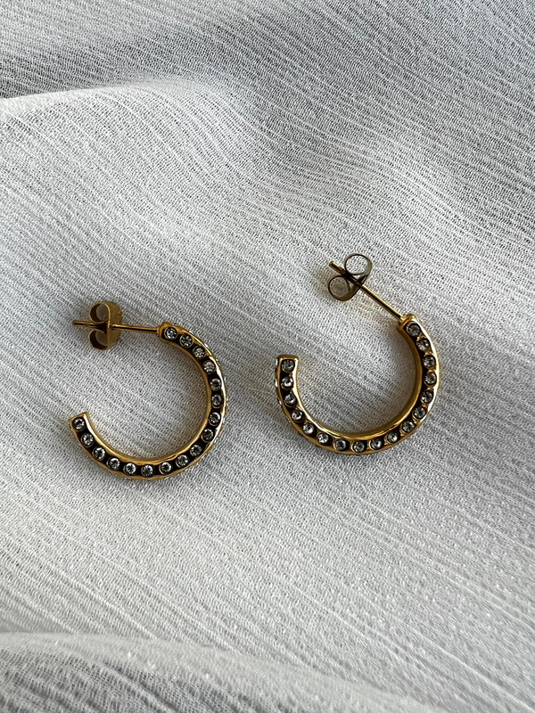 Product image: Earrings-null