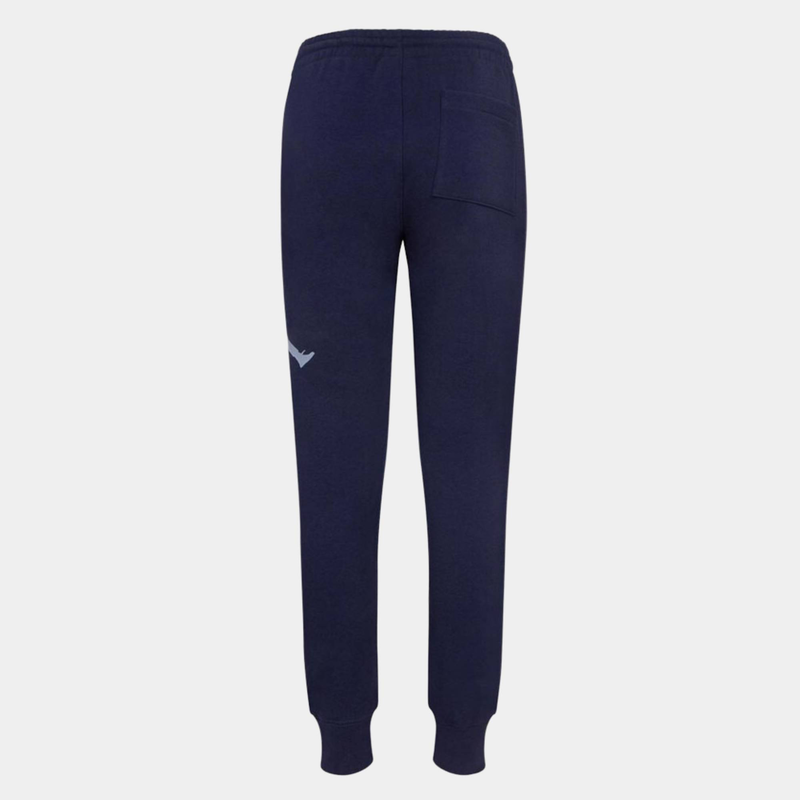 Nike jumpman baseline boys pant image number null