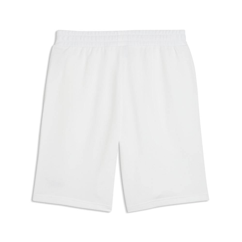 Essentials 2 color no. 1 logo shorts 10" training-null